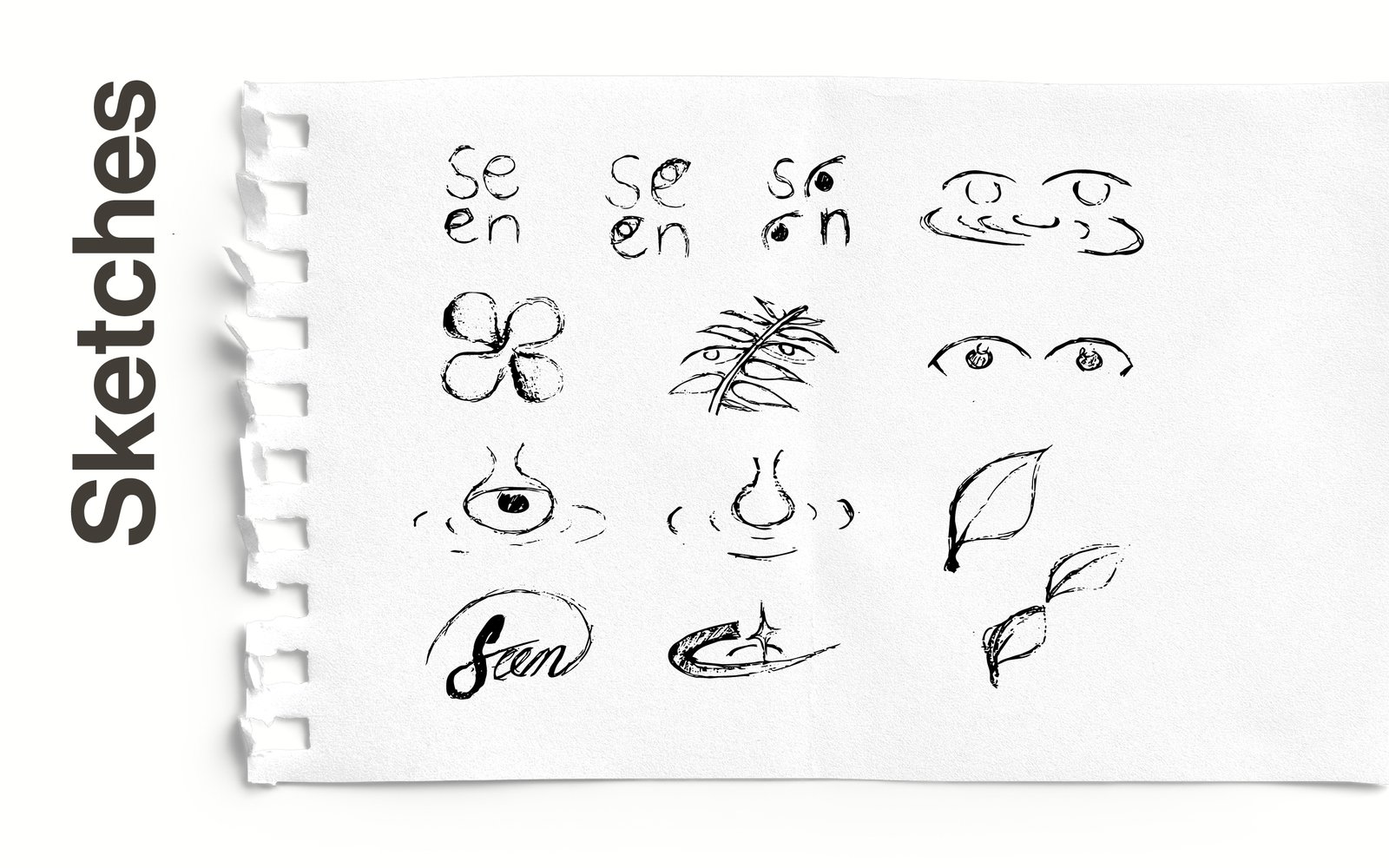 sketches